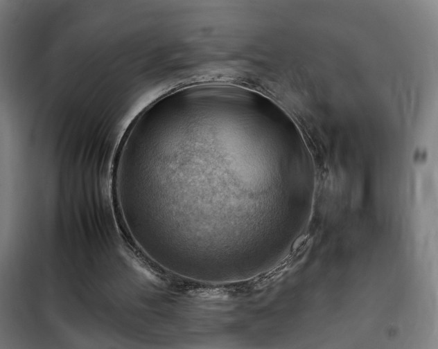 X0000102010100200807251318