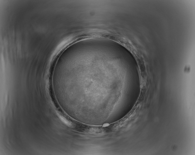 X0000102010101200807251318