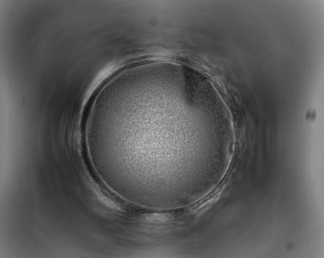 X0000102010102200807251318