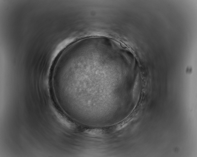 X0000102010104200807251318