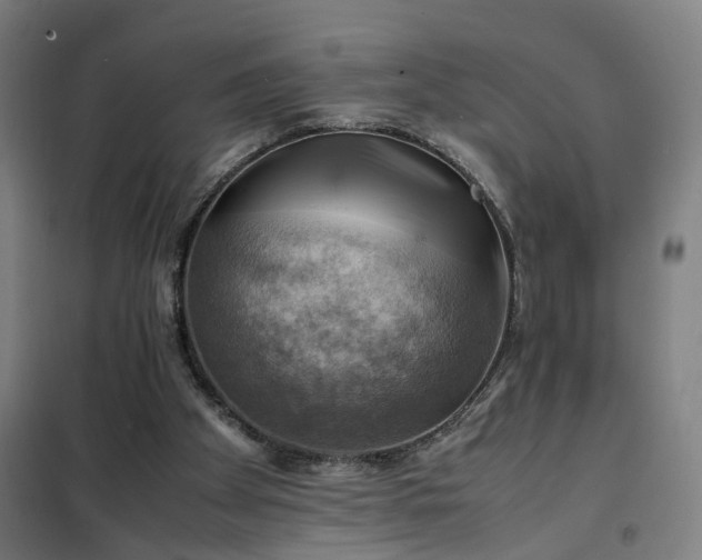 X0000102010105200807251318