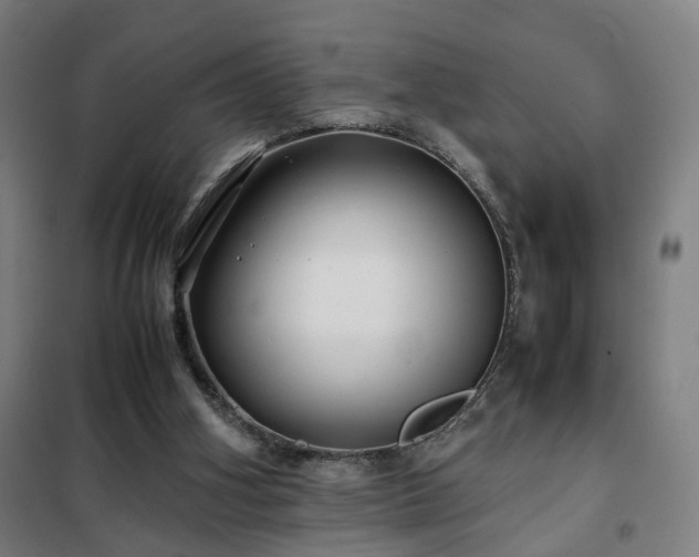 X0000102010106200807251318