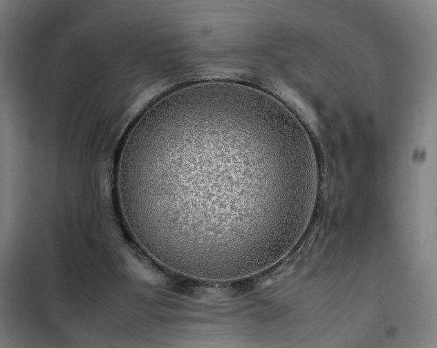 X0000102010107200807251318