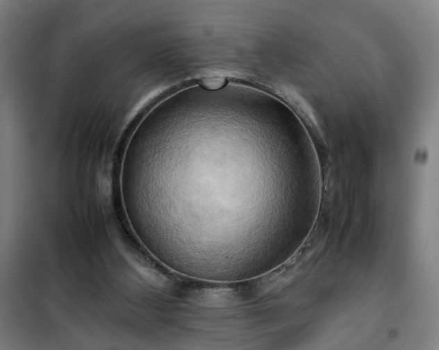 X0000102010108200807251318