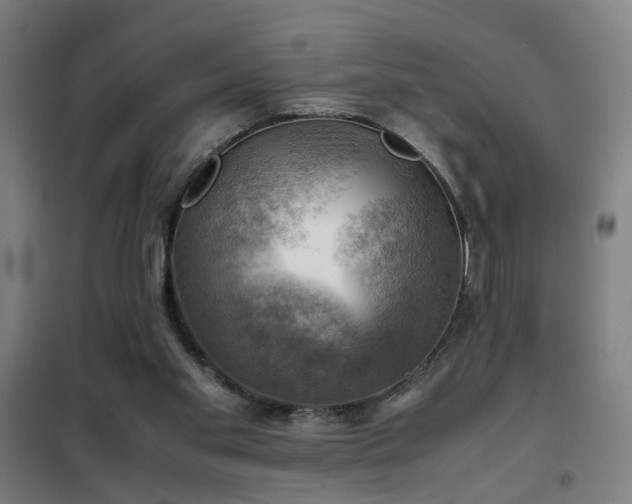 X0000102010109200807251318