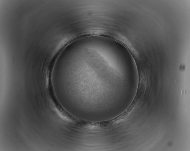 X0000102010110200807251318