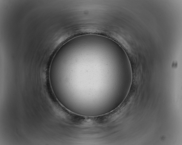 X0000102010111200807251318