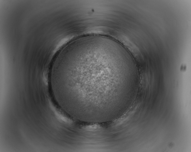 X0000102010112200807251318