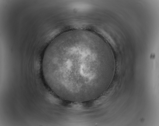 X0000102010113200807251318