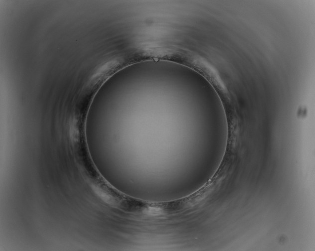 X0000102010114200807251318