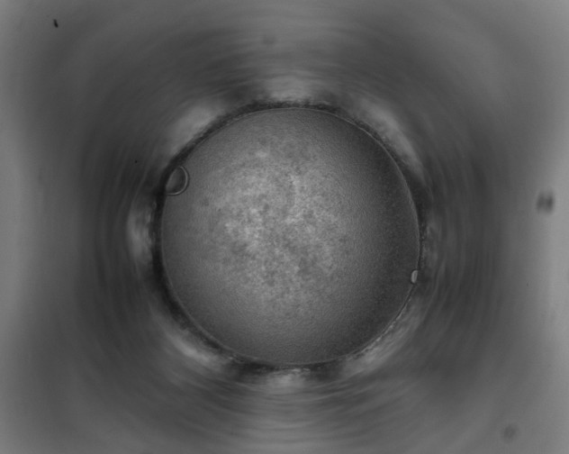 X0000102010116200807251318