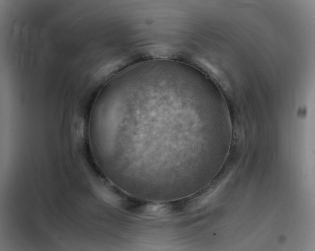 X0000102010117200807251318
