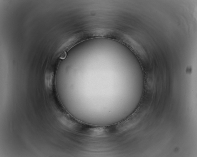 X0000102010118200807251318