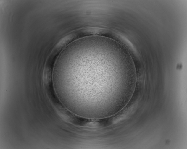 X0000102010119200807251318