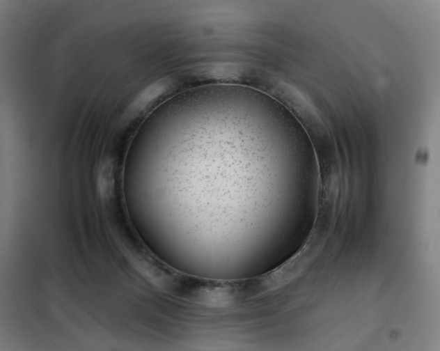 X0000102010120200807251318