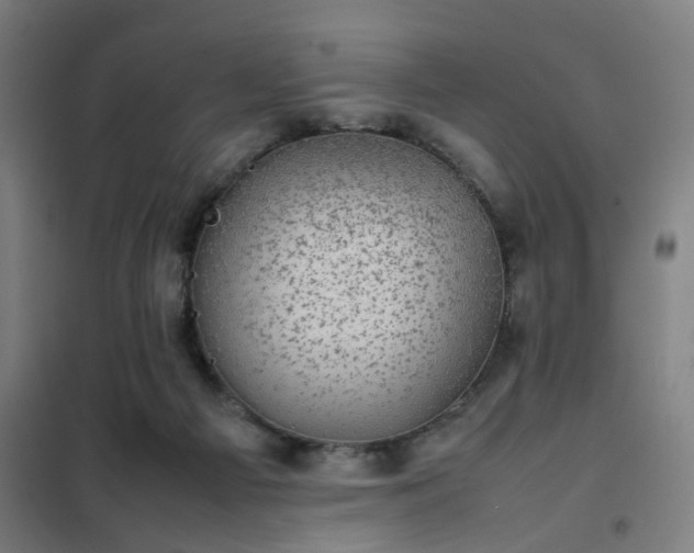 X0000102010121200807251317