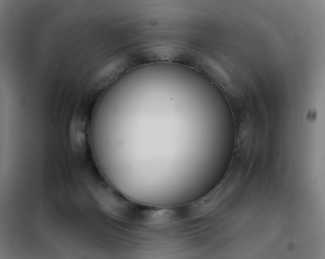 X0000102010122200807251317