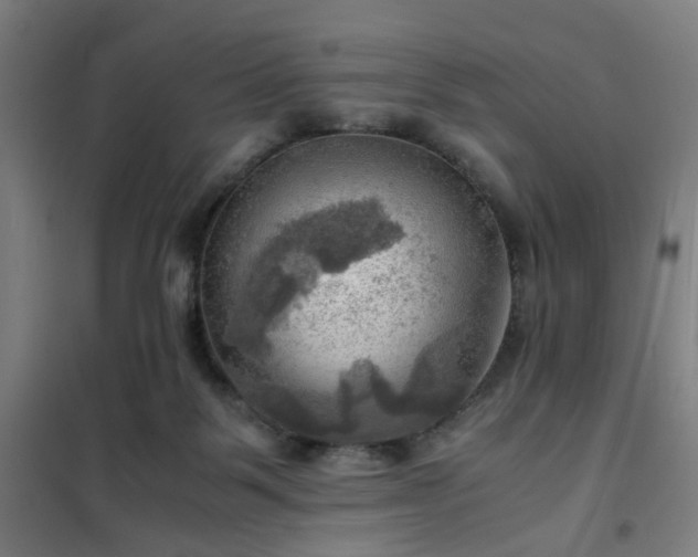X0000102010123200807251317