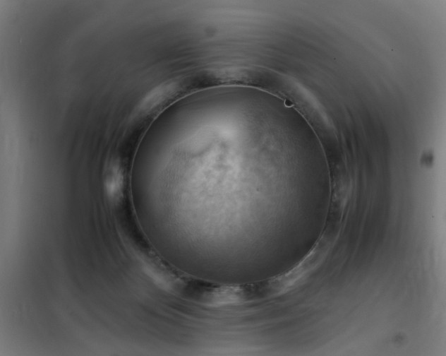 X0000102010124200807251317