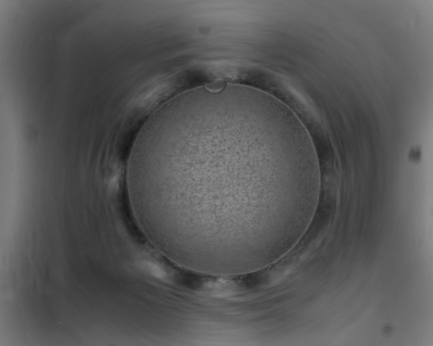 X0000102010125200807251317