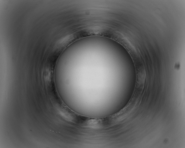 X0000102010126200807251317