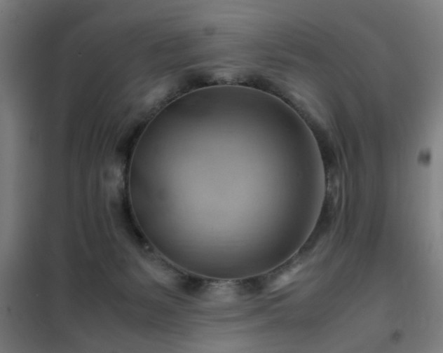 X0000102010127200807251317