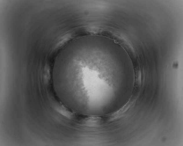 X0000102010128200807251317