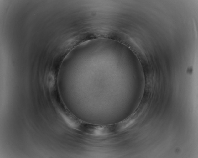X0000102010130200807251317