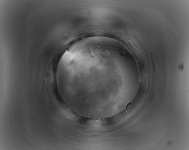 X0000102010131200807251317