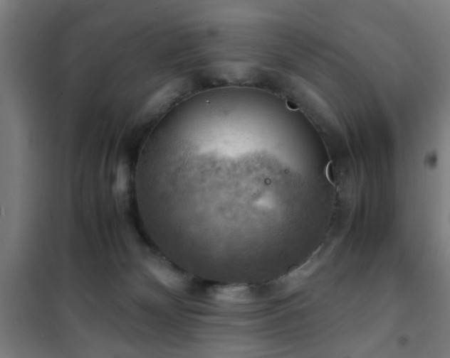 X0000102010132200807251317