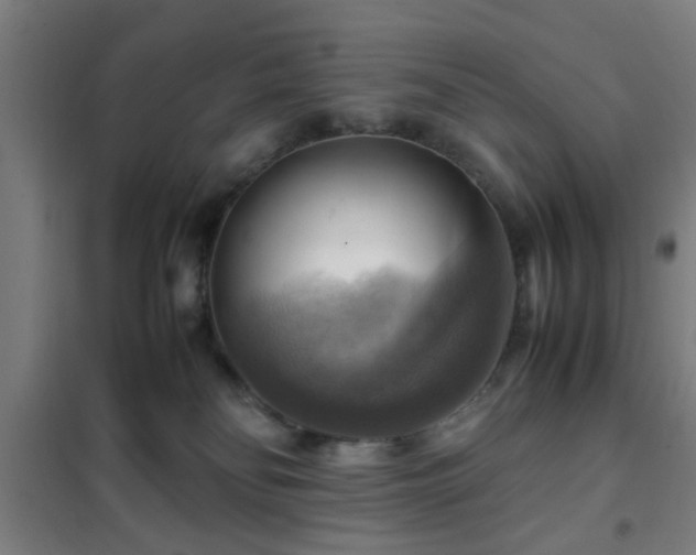 X0000102010134200807251317