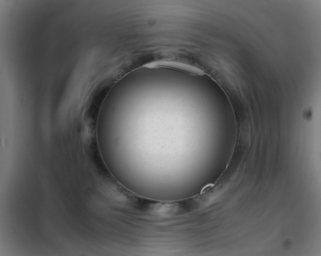 X0000102010135200807251317