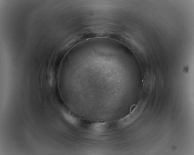 X0000102010136200807251317