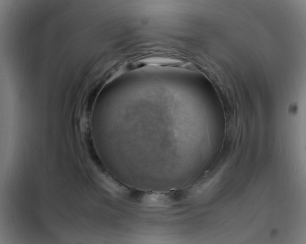 X0000102010137200807251317