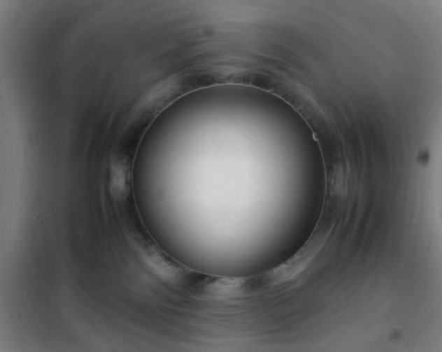 X0000102010138200807251317