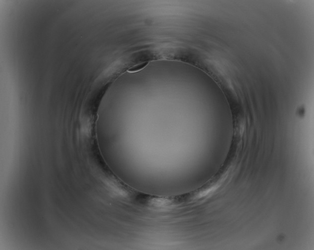 X0000102010139200807251317