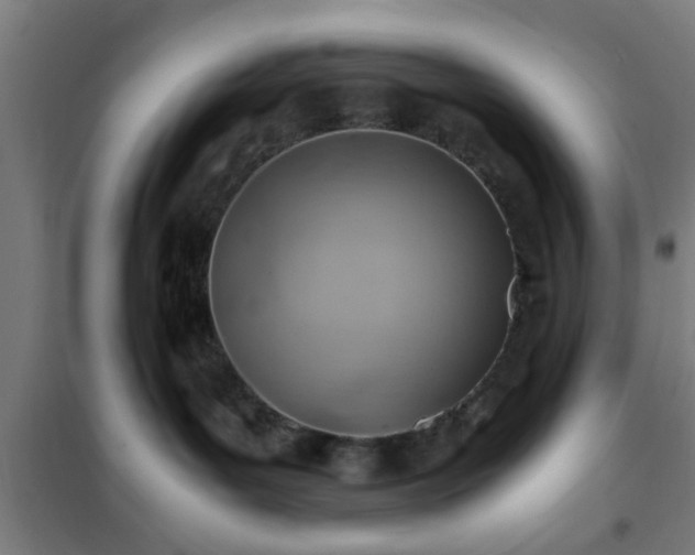 X0000102010143200807251317