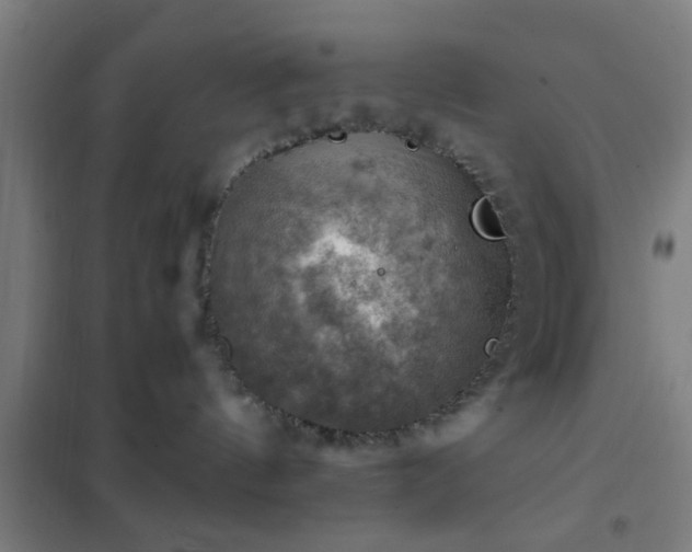X0000102010144200807251317