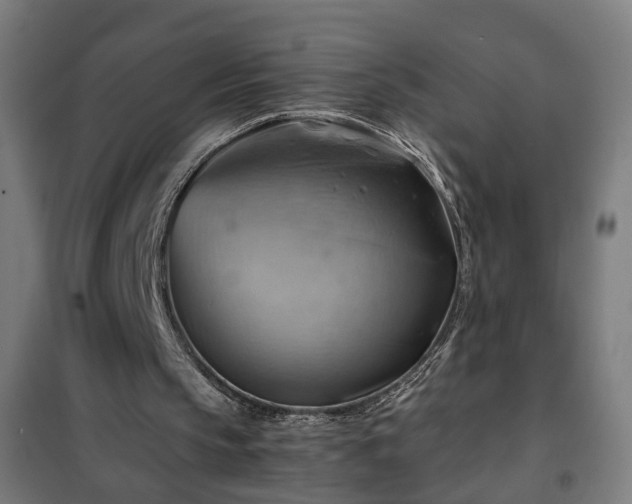 X0000102010145200807251317