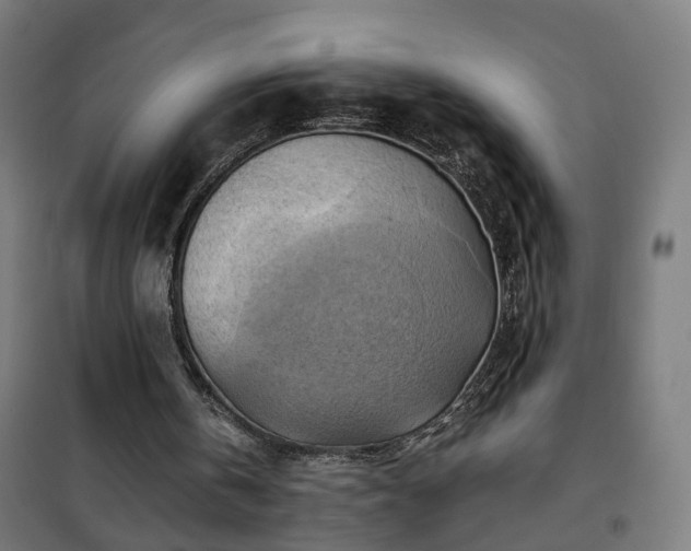 X0000102010146200807251317
