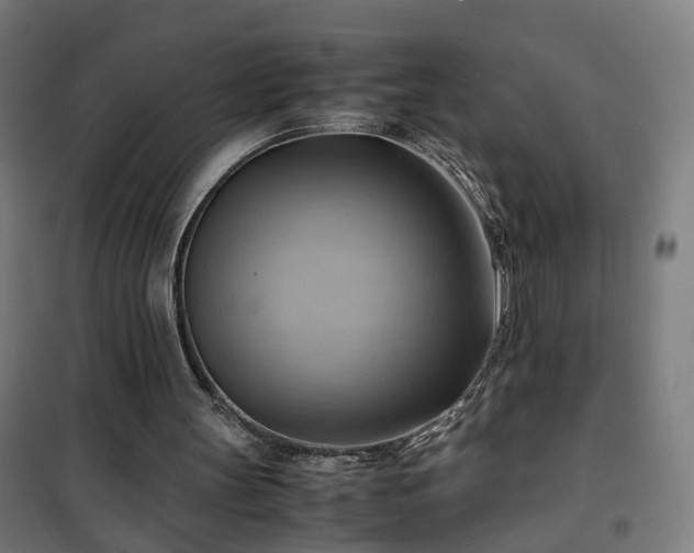 X0000102010147200807251317