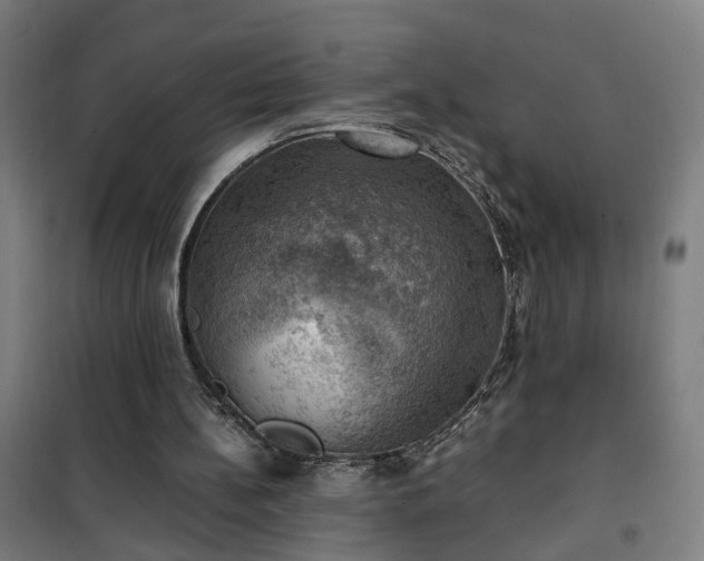 X0000102010148200807251317