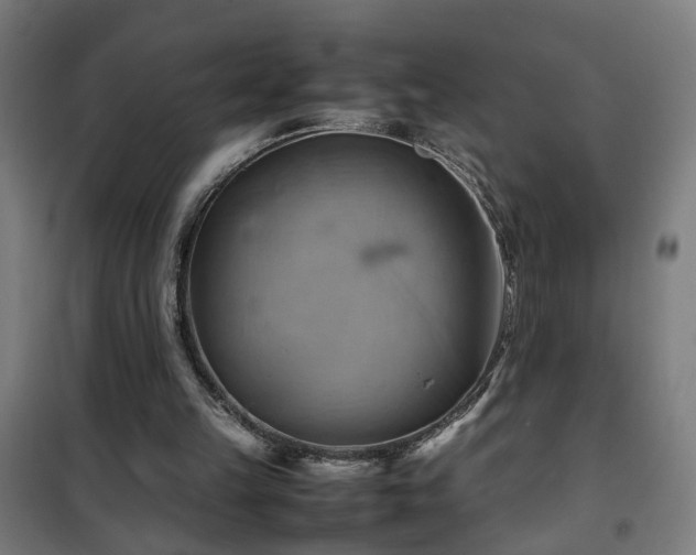 X0000102010149200807251317