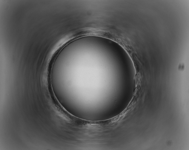 X0000102010150200807251317
