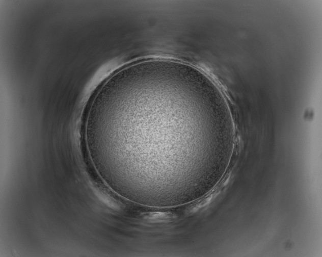 X0000102010151200807251317