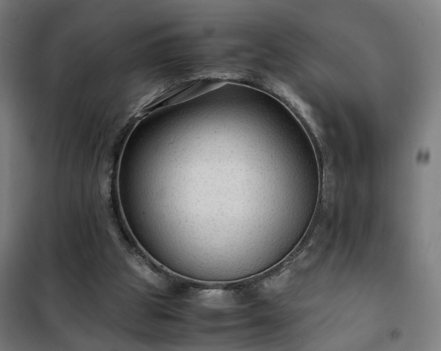 X0000102010153200807251317