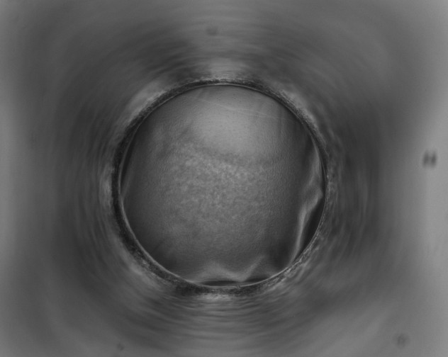 X0000102010154200807251317