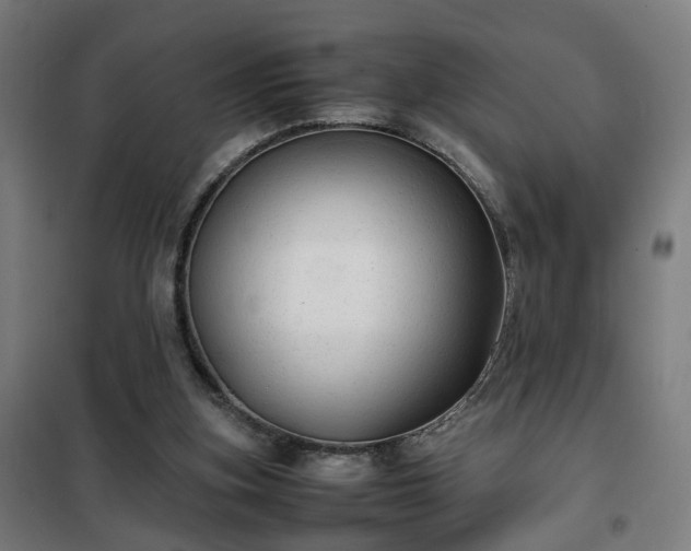 X0000102010155200807251317