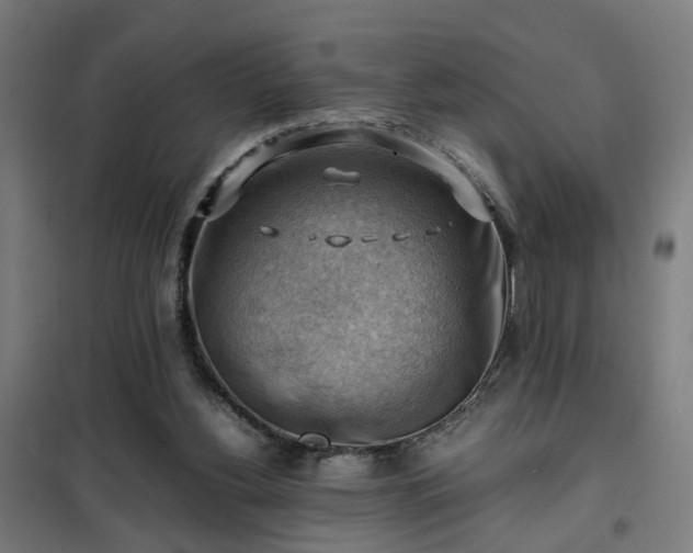 X0000102010156200807251317