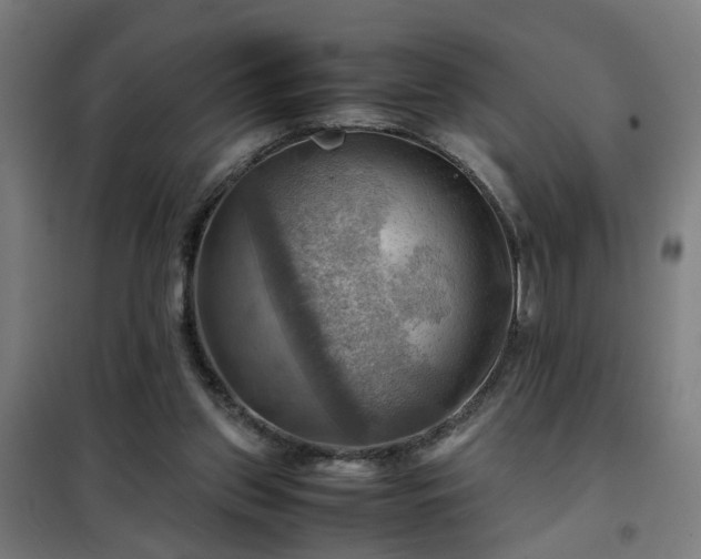 X0000102010157200807251317
